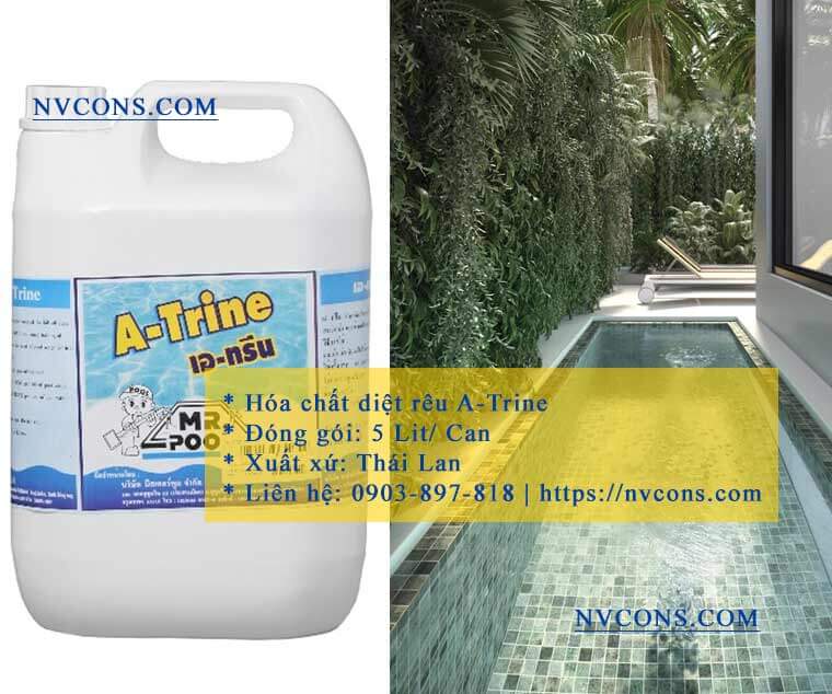 Hóa chất diệt rêu hồ bơi A-Trine Thái Lan Hóa chất diệt rêu hồ bơi A-Trine Thái Lan