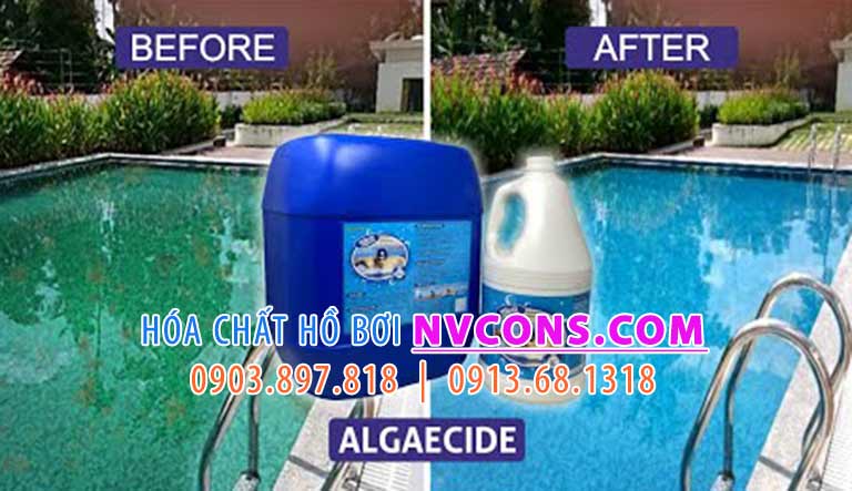 Nvcons cung cấp nhiều hóa chất trị rêu hiệu quả phù hợp với mức độ của từng bể bơi Nvcons cung cấp nhiều hóa chất trị rêu hiệu quả phù hợp với mức độ của từng bể bơi
