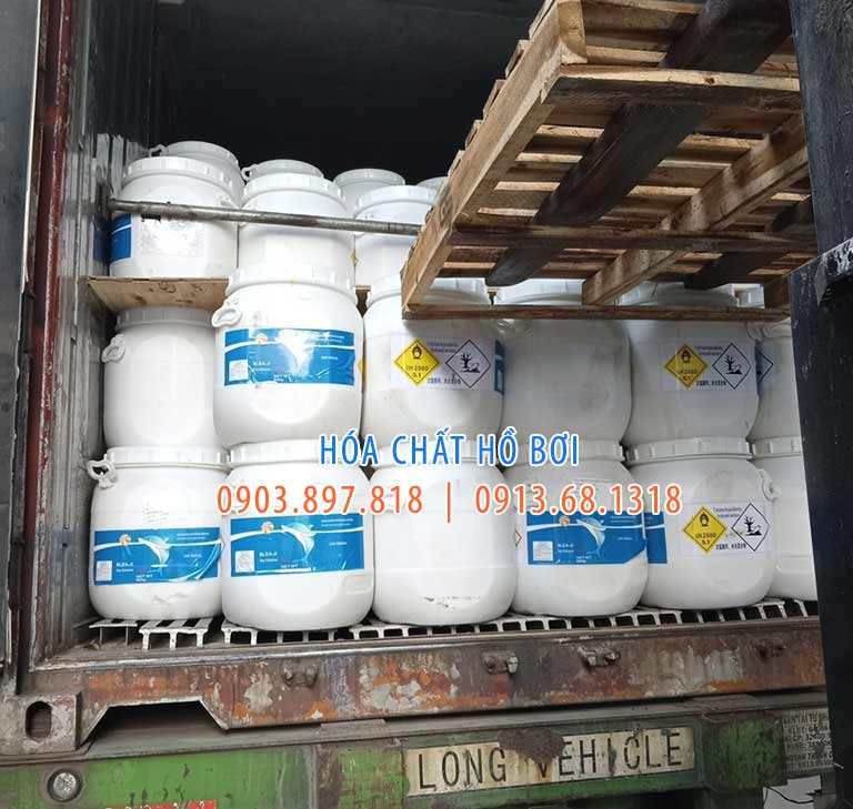 Mua clo cá heo TPHCM tại NVCONS Mua clo cá heo TPHCM tại NVCONS