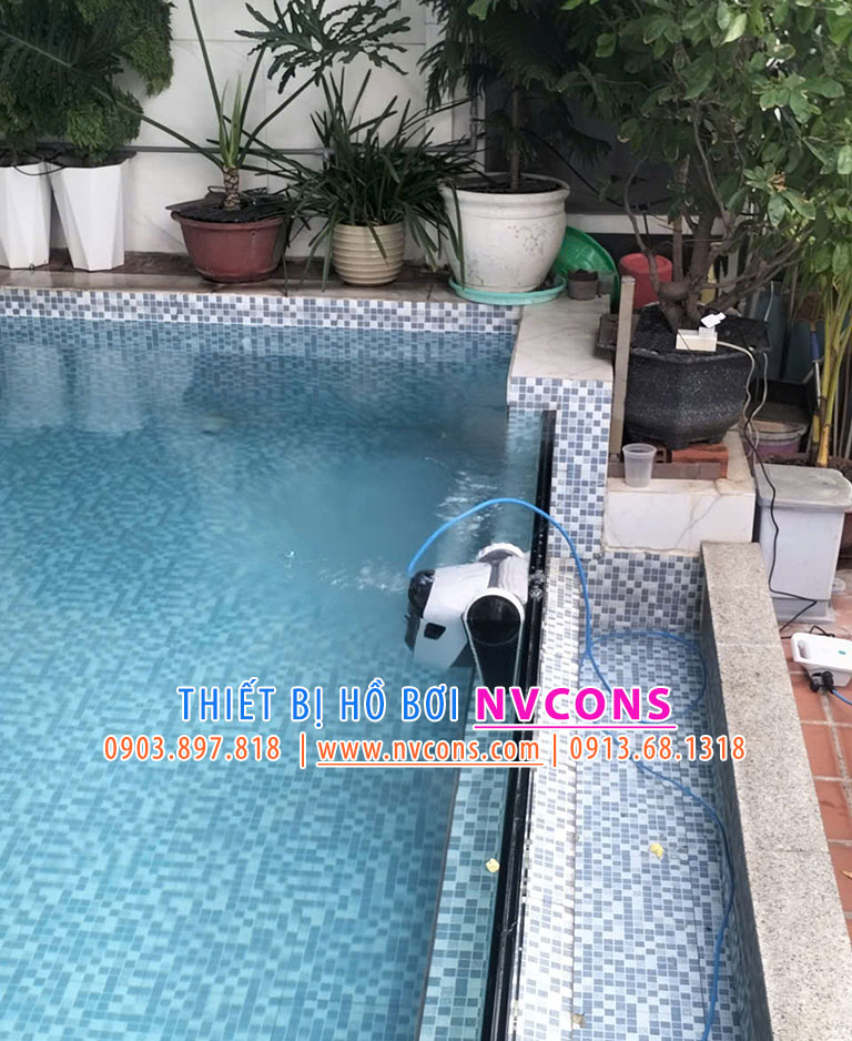 Robot bể bơi Dolphin X30 leo tường vệ sinh Robot bể bơi Dolphin X30 leo tường vệ sinh