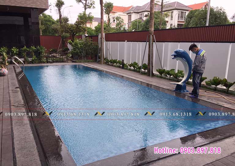 Thi công hồ bơi gia đình sử dụng cá heo phun nước nghệ thuật Thi công hồ bơi gia đình sử dụng cá heo phun nước nghệ thuật