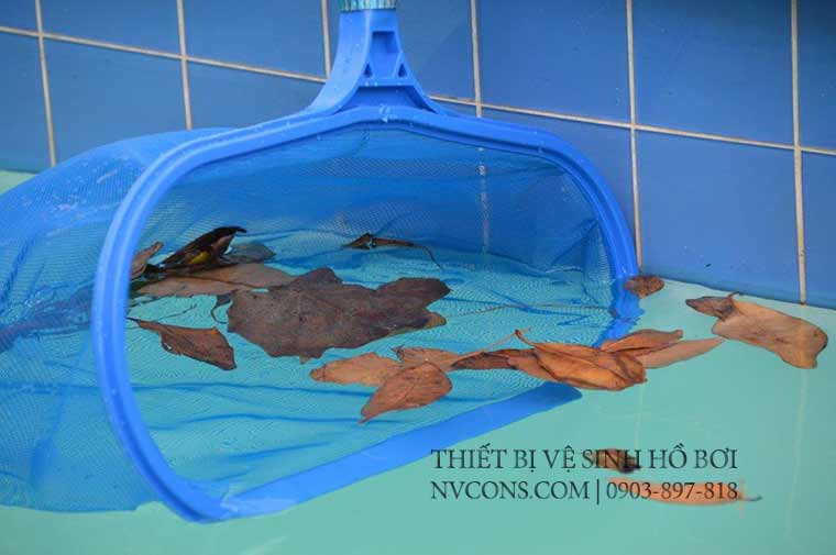 Vợt vớt rác hồ bơi Vợt vớt rác hồ bơi
