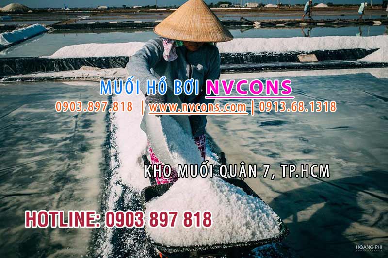 Vựa muối Bể bơi giá rẻ tại Sài Gòn Vựa muối Bể bơi giá rẻ tại Sài Gòn